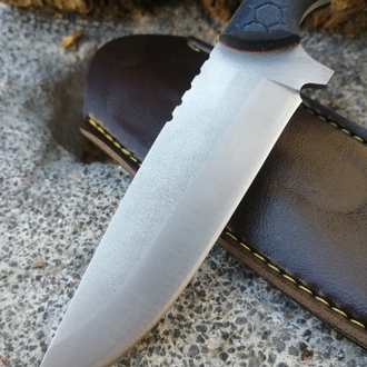 BS113