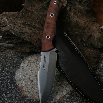 BS141