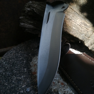 BS156