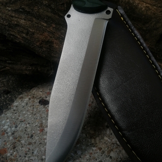 BS137