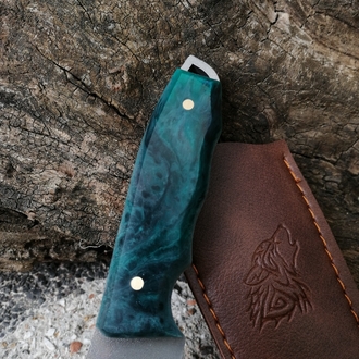 BS119