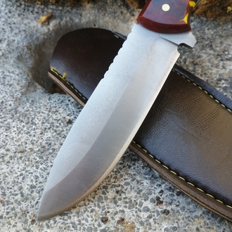BS116