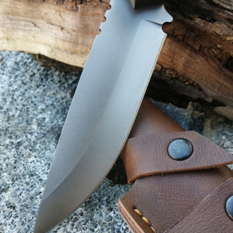 BS124