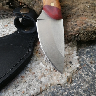 BS123