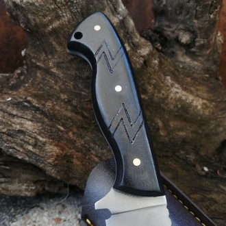 BS136