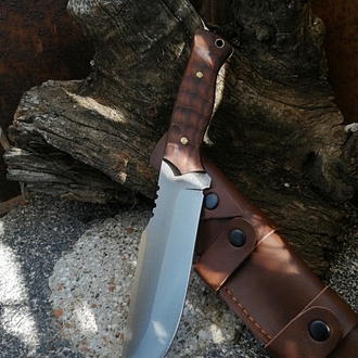 BS143