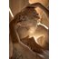Astrolojik İlişki Danışmanlığı