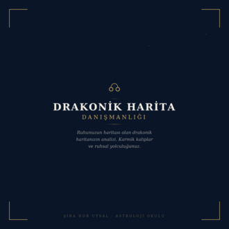DRAKONIK HARITA DANIŞMANLIĞI