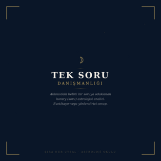 TEK SORU DANIŞMANLIĞI