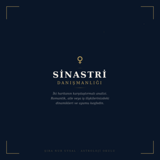 SİNASTRİ DANIŞMANLIĞI