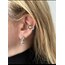 Ally Earcuff