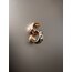 Lovebombing Ear Cuff