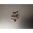 Star Earcuff