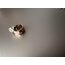 Lovebombing Ear Cuff