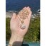 Agate Shell Kolye