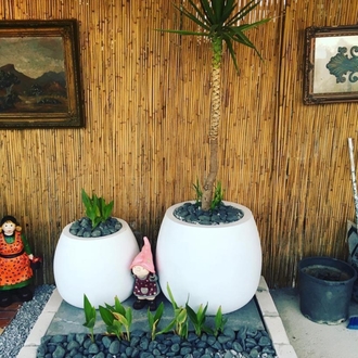mini domates saksı