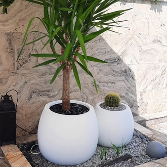 mini domates saksı