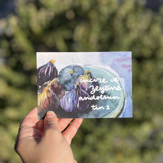 vettinivezzeytun-kartpostal