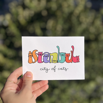 kedilerin şehri-kartpostal
