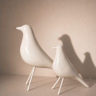 Nord Birds