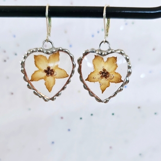Mum Çiçeği Küpeler (Hoya)