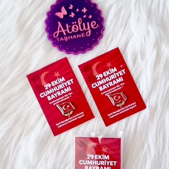 29 Ekim Broş