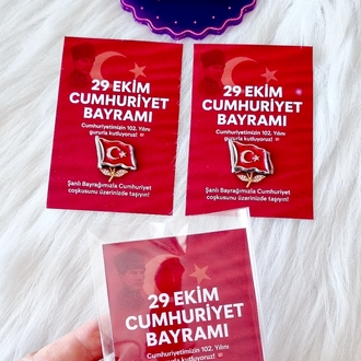 29 Ekim Broş