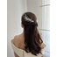 Leda