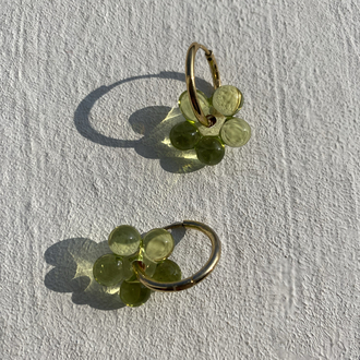 Flower Garden |2
