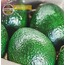 AVOKADO BOX 8'Lİ PREMİUM PAKET (OTOMATİK GÖNDERİM)