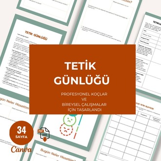 Tetik Günlüğü