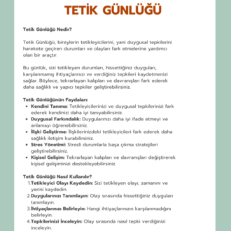 Tetik Günlüğü