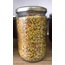 Yaş Polen 500gr