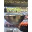 10 litre kazan 