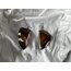 Organic Flow Brown Earrings