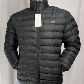 LACOSTE DİK YAKA MONT