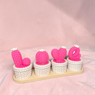 Love kaktüs dekor ( pembe ve beyaz)