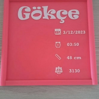 Yeni doğan bebek panosu