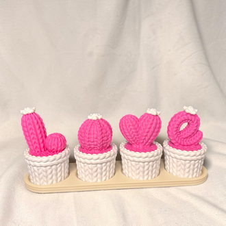 Love kaktüs dekor ( pembe ve beyaz)