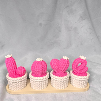 Love kaktüs dekor ( pembe ve beyaz)
