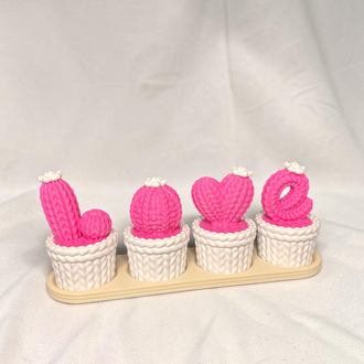 Love kaktüs dekor ( pembe ve beyaz)