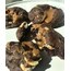 Büyük Lotuslu Cookie (3 adet)
