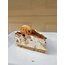 Pişmeyen Cookie Cheesecake (6-8 kişilik)