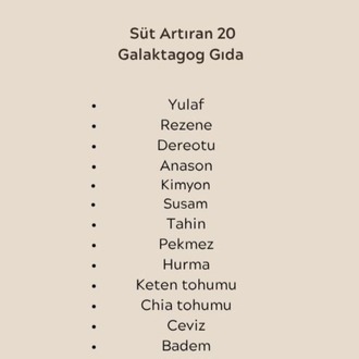 Anne Sütünü Artıran 20 Tarif E-Kitabı