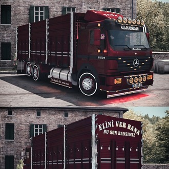 Mercedes Benz 2521
