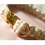 Orion Dog Collar