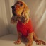 Ruby Kazak 
