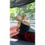 DİKİZ AYNA SÜSÜ LEOPAR KURDELE PONPON SET