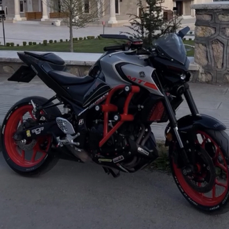 YAMAHA MT 25 6 LI KORUMA DEMİRİ (turuncu)