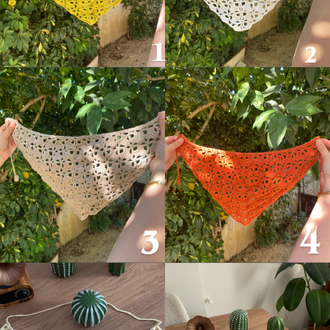 2 Al 1 Öde Bandana